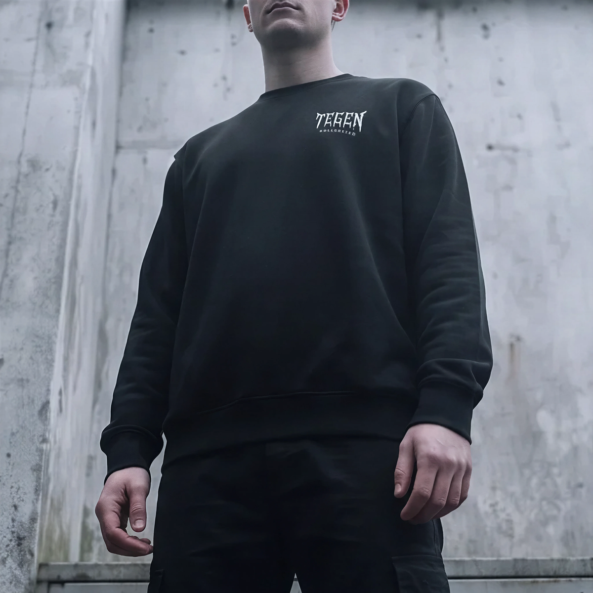 _PRODUCT_03 // TEGEN LOGO SWEATSHIRT_