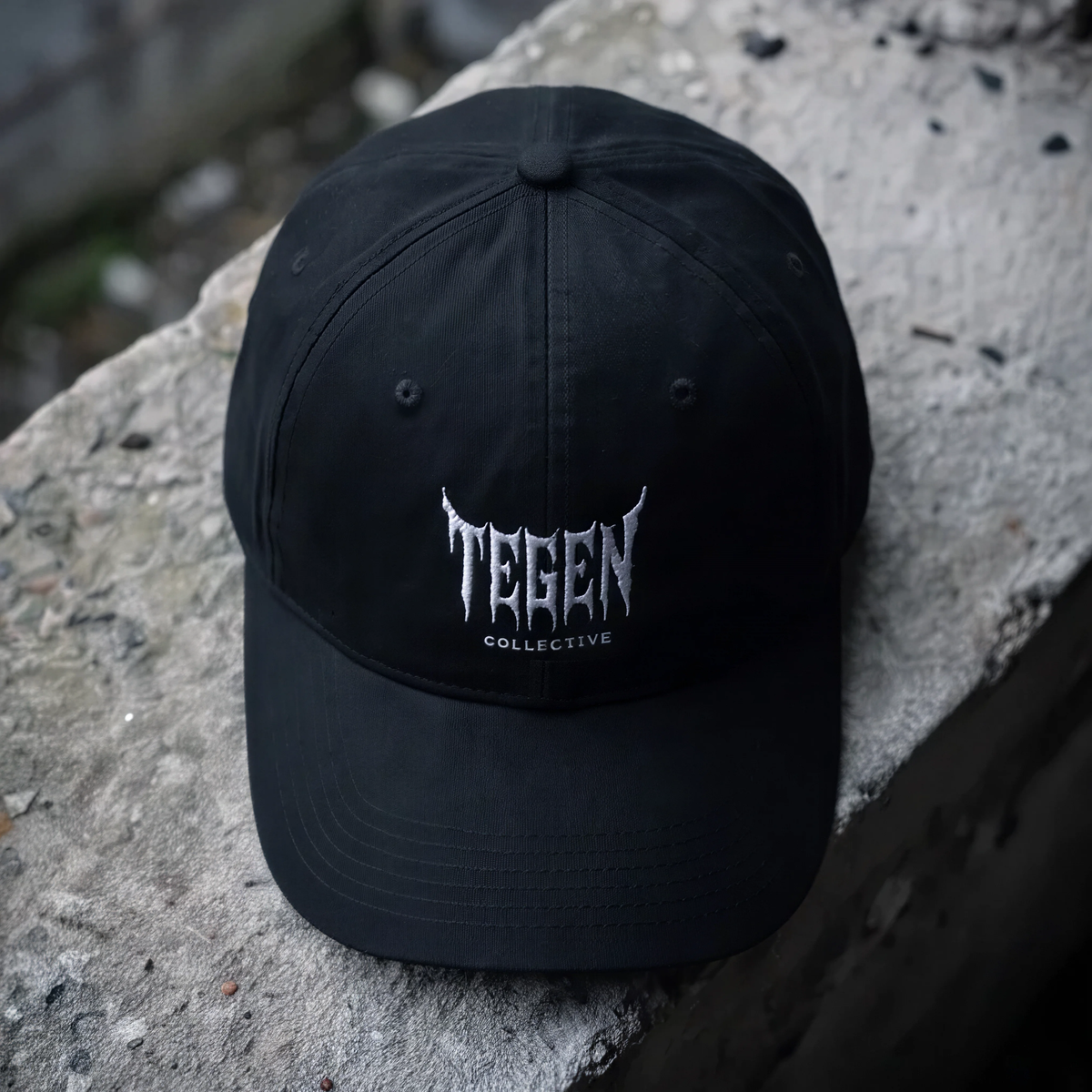 _PRODUCT_04 // TEGEN LOGO 6 PANEL CAP_