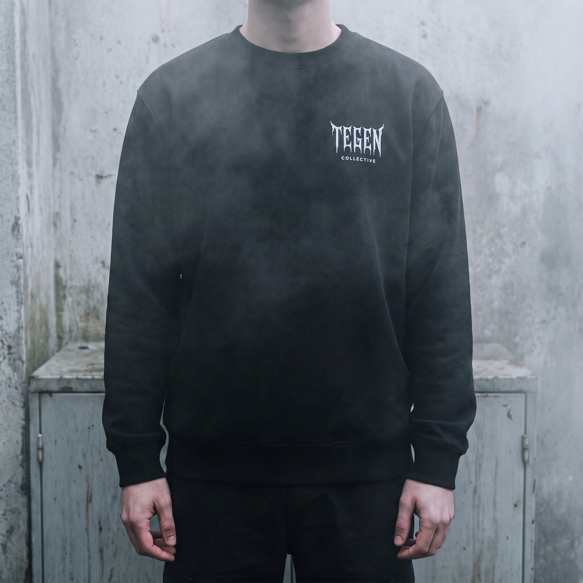 _PRODUCT_03 // TEGEN LOGO SWEATSHIRT_